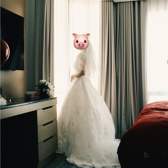 Simple Lace V-neck Train Wedding Dress/ French Tulle Bohemian Wedding Dress - Picture 4 of 12